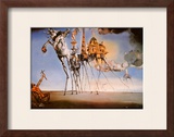 The Temptation of St Anthony  c1946