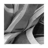Agave Waves 2