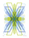 X Mark