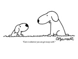 "Cute is whatever you can get away with" - New Yorker Cartoon