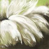 Green Daisy