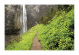 Trail To Comet Falls