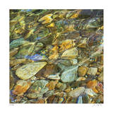 Oasis Pool Square