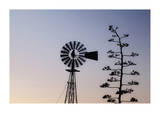 Weathered Windmill