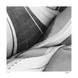 Agave Waves 3