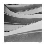 Agave Waves 1