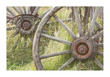 Wagon Wheels