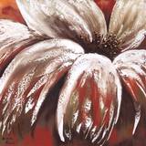Red Daisy