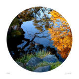 Serenity Reflection 1