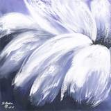 Purple Daisy