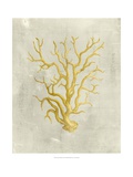 Coral in Mustard