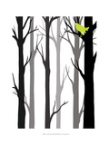 Forest Silhouette II