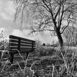 First Frost IV