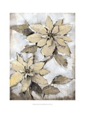 Poinsettia Study I