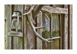 Antlers And Lantern