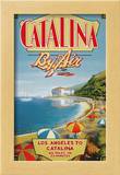 Catalina by Air