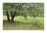 Homestead Fields