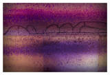 Mauve Désir VII
