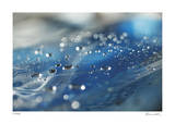 H2O 6