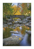 Ashland Creek In Fall