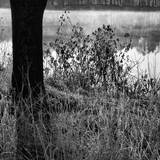 First Frost III