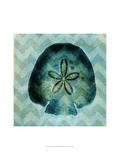 Chevron Shell VI