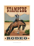 Stampede Rodeo