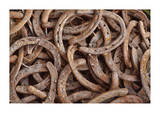 Horseshoes