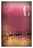 Mauve Désir X