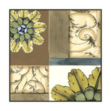 Small Marine Rosette Composition I