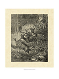 Vintage Roe Deer I