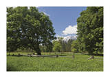 Spring On The Farm