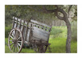 Historic Farm Cart