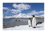 South Georgia Island
