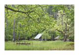 Historic Homestead 2