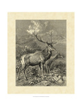 Vintage Roe Deer II
