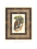 Rustic Raccoon