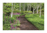 Spring Garden Path