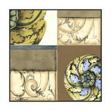 Small Marine Rosette Composition IV