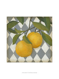 Fruit and Pattern IV