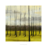 Sunlit Treeline I