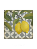 Fruit and Pattern I