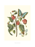 Midsummer Floral I