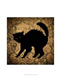Cat and Damask