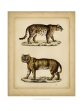Studies in Natural History I