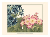 Small Japanese Flower Garden IV