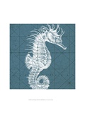 Coastal Menagerie VIII