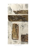 Birch Bark Abstract I