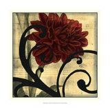 Dahlias and Scrolls III
