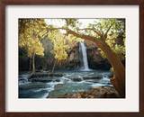 Scenic View of a Waterfall on Havasu Creek